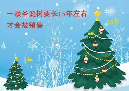 中国最早报道圣诞节的竟是《人民日报》，你不知道的10个圣诞小知识